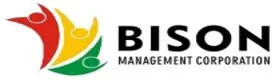 Logo 29
